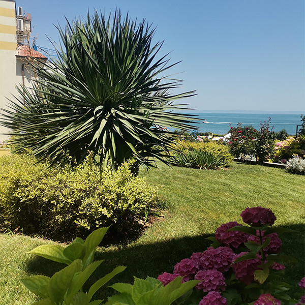 Комплексът