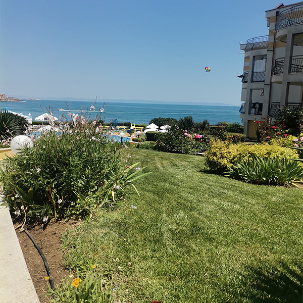 Комплексът