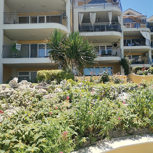 Комплексът