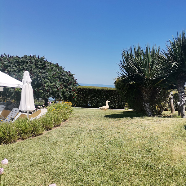 Комплексът