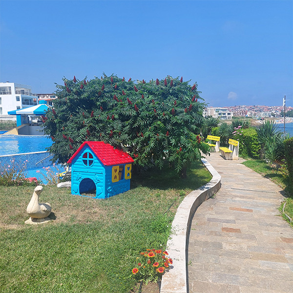 Комплексът